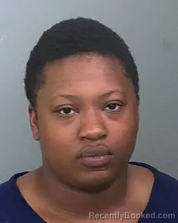 Mugshot of BIANKA N RAMOS booked in Manatee County, Florida on April 24, 2026