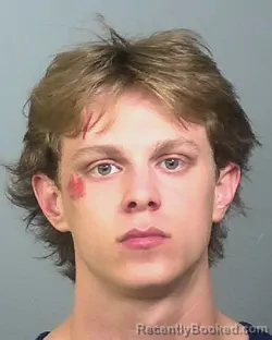 Mugshot of CIRO ROCCO booked in Manatee County, Florida on March 9, 2026