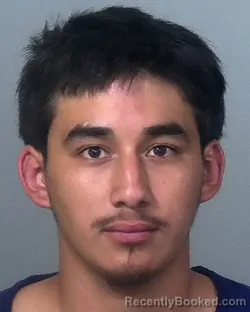 Mugshot of DAMIAN REYES RIOS booked in Manatee County, Florida on March 15, 2026