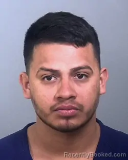 Mugshot of JOSE ARTURO RODRIGUEZ LUVIANOS