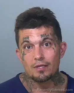 Mugshot of JULIO ENRIQUE ROSADO booked in Manatee County, Florida on April 23, 2026