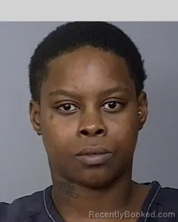 Mugshot of KIMBERLY A RICHARDSON