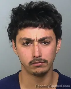 Mugshot of LEONARDO ROBSON