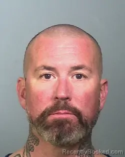 Mugshot of MICHAEL THOMAS RYAN