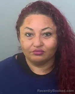 Mugshot of NIDIA JAZMIN ROSALES AMAYA