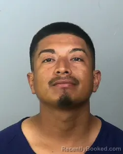 Mugshot of NELSON RAMIREZ RAMIREZ booked in Manatee County, Florida on May 2, 2026