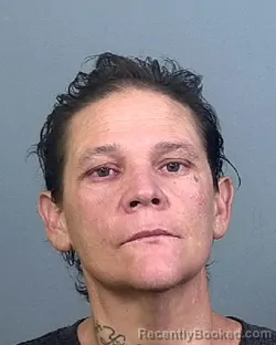 Mugshot of OBED REYES