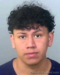 Mugshot of ROCAEL JOSE JUAN RAMIREZ JUAN booked in Manatee County, Florida on March 24, 2026