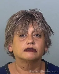 Mugshot of ROSE MARY ROMERO booked in Manatee County, Florida on April 1, 2026