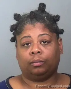 Mugshot of RACHEL S ROGERS booked in Manatee County, Florida on March 25, 2026