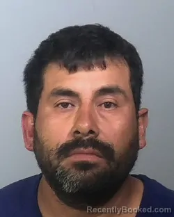 Mugshot of VALENTIN ROMAN booked in Manatee County, Florida on March 29, 2026