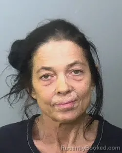Mugshot of ANGEL M STETSON booked in Manatee County, Florida on May 12, 2026