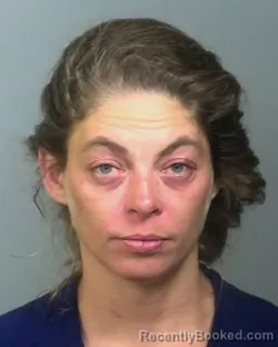 Mugshot of BROOKE LUCINDA SMITH booked in Manatee County, Florida on April 4, 2026