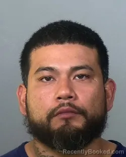 Mugshot of BOBBIE SANDOVAL booked in Manatee County, Florida on April 4, 2026