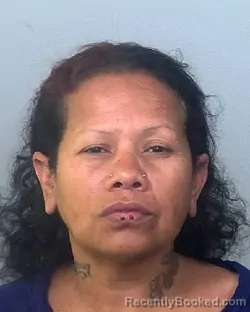 Mugshot of CYNTHIA JIMENEZ SALINAS
