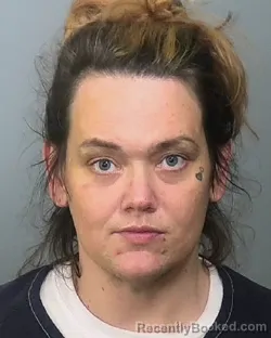 Mugshot of DANIELLE MARIE SHAW booked in Manatee County, Florida on May 6, 2026