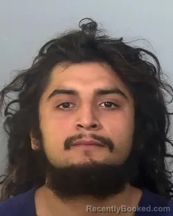 Booking photo from Manatee County, Florida