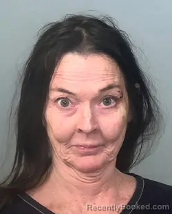 Mugshot of JENNIFER ANN SPAIN booked in Manatee County, Florida on March 26, 2026