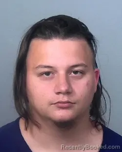 Mugshot of JESSIE BARRY SHEA booked in Manatee County, Florida on March 17, 2026