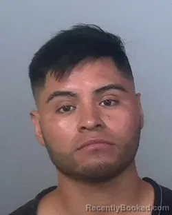 Mugshot of JESUS GUADALUPE SANTIZ DIAZ