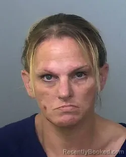 Mugshot of JESSICA JEAN SARGENT booked in Manatee County, Florida on May 12, 2026
