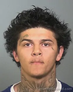 Mugshot of JAHDIEL JOSE SANCHEZ