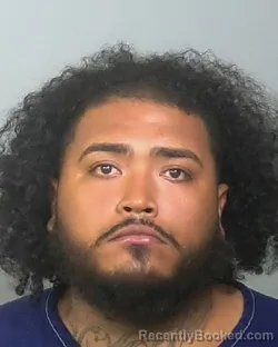 Mugshot of JUAN RAMON SANTOS-REYES booked in Manatee County, Florida on April 24, 2026