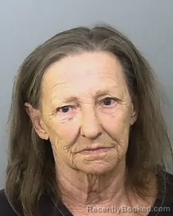 Mugshot of LINDA GAIL SWING booked in Manatee County, Florida on May 16, 2026