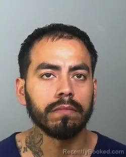 Mugshot of LUIS GIL SANCHEZ booked in Manatee County, Florida on March 24, 2026