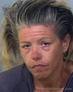 Mugshot of MELISSA A SWIFT booked in Manatee County, Florida on April 4, 2026