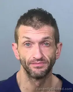 Mugshot of MICHAEL RONALD SOWARDS booked in Manatee County, Florida on April 1, 2026