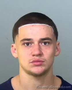 Mugshot of OWEN LUKE SEPANSKI booked in Manatee County, Florida on April 25, 2026