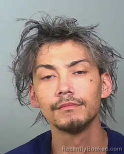 Mugshot of PHILLIP PATRICK LOWELL SMITHLEY booked in Manatee County, Florida on March 20, 2026