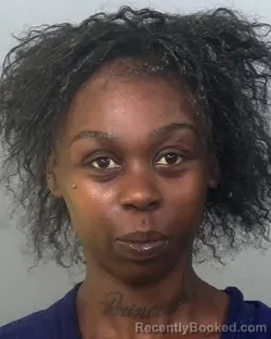 Mugshot of SHAQUALA SHAWNTAY SEABROOKS booked in Manatee County, Florida on March 23, 2026