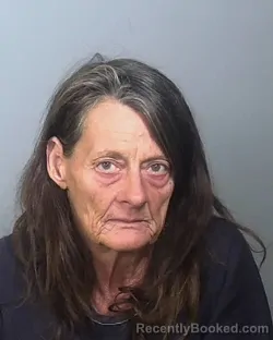 Mugshot of TINA MALON STEWART