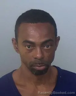 Mugshot of VINCENT EDWARD STOUDEMIRE