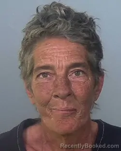 Mugshot of VIOLET KAY SOAL booked in Manatee County, Florida on March 24, 2026