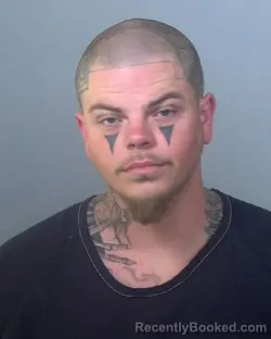 Mugshot of ALEXANDER GAVIN TURNER