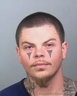 Mugshot of ALEXANDER GAVIN TURNER