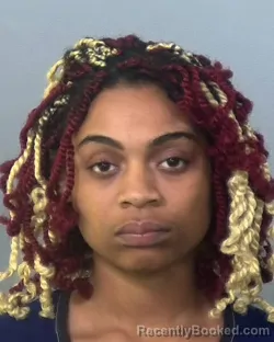 Booking photo from Manatee County, Florida
