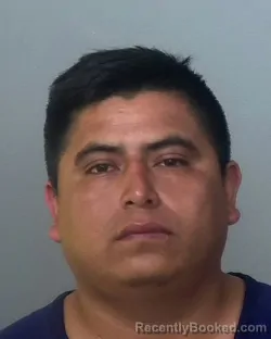 Mugshot of CLEIVER YONI MARIE TRIGUEROS LOPEZ booked in Manatee County, Florida on March 21, 2026