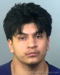 Mugshot of GIOVVANY TORRES-EUSEBIO booked in Manatee County, Florida on March 18, 2026