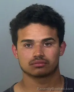 Mugshot of ISAIAS RAMON TOVAR GOA booked in Manatee County, Florida on March 25, 2026