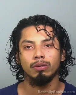 Mugshot of JAMIE TOLEDO