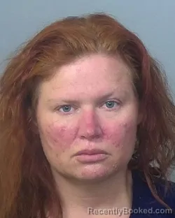 Mugshot of SHANNON G TORKELSON booked in Manatee County, Florida on March 20, 2026