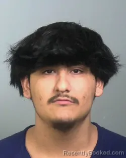 Mugshot of IVAN URIETA-VALLE