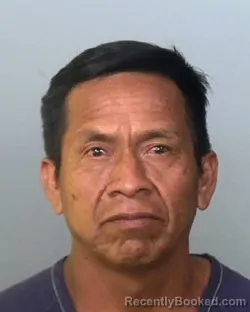 Mugshot of ALBERTO VEGA booked in Manatee County, Florida on April 3, 2026