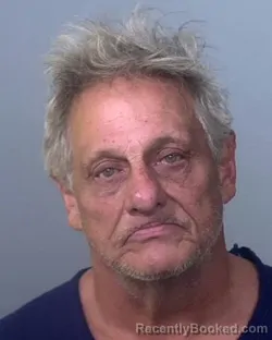 Mugshot of EDWARD RAYMOND VENETUCCI booked in Manatee County, Florida on March 12, 2026