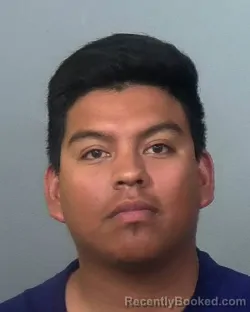 Mugshot of FRESLIN VILLATORO VASQUEZ booked in Manatee County, Florida on March 20, 2026