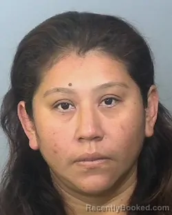 Mugshot of IRMA VALLEJO ALARCON booked in Manatee County, Florida on March 23, 2026